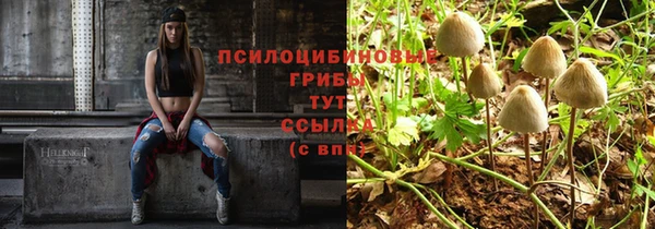 таблы Алзамай