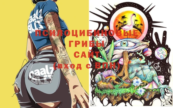 экстази Алексеевка