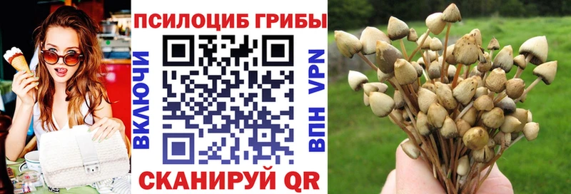 сколько стоит  Нижние Серги  Галлюциногенные грибы MAGIC MUSHROOMS 